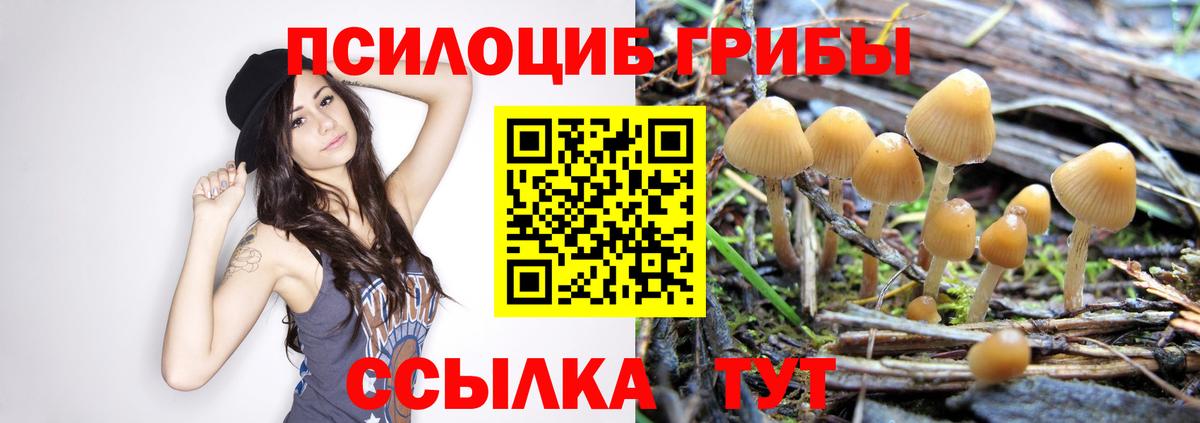 МЕТ  Кокаин  Вход с VPN  Мефедрон кристаллы  Ковров  Канабис  ГАШИШ 