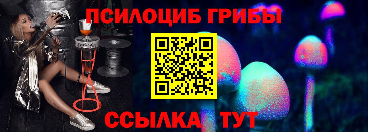Псилоцибиновые грибы Psilocybine cubensis  Вход с VPN  Ковров 